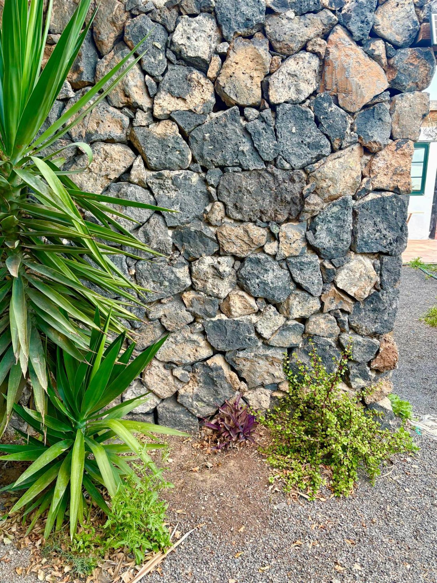 Villa Casa Munique Teguise  Exterior foto